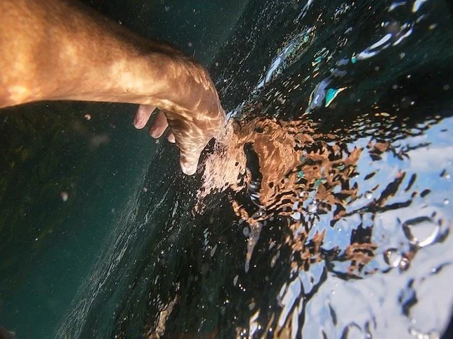 KPW - Reaching for Something - Katy Parks Wilson.jpeg