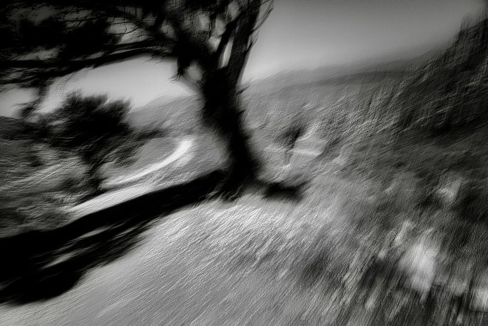 WInd - Jon-Marc Seimon.jpeg