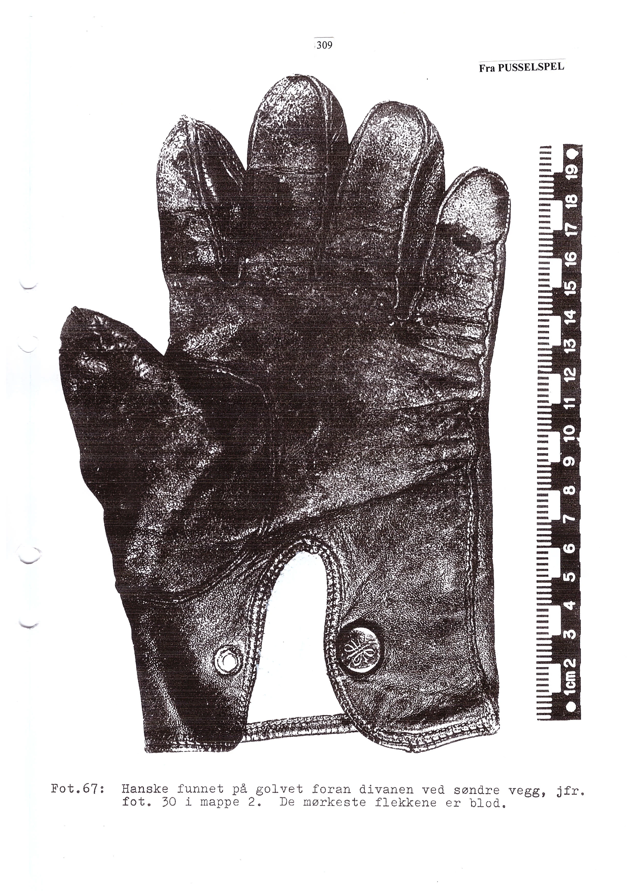 SCAN0310.JPG