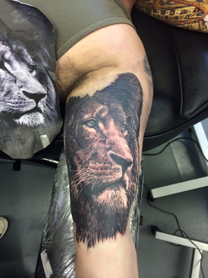 Lion At Tattoo Lounge Derry