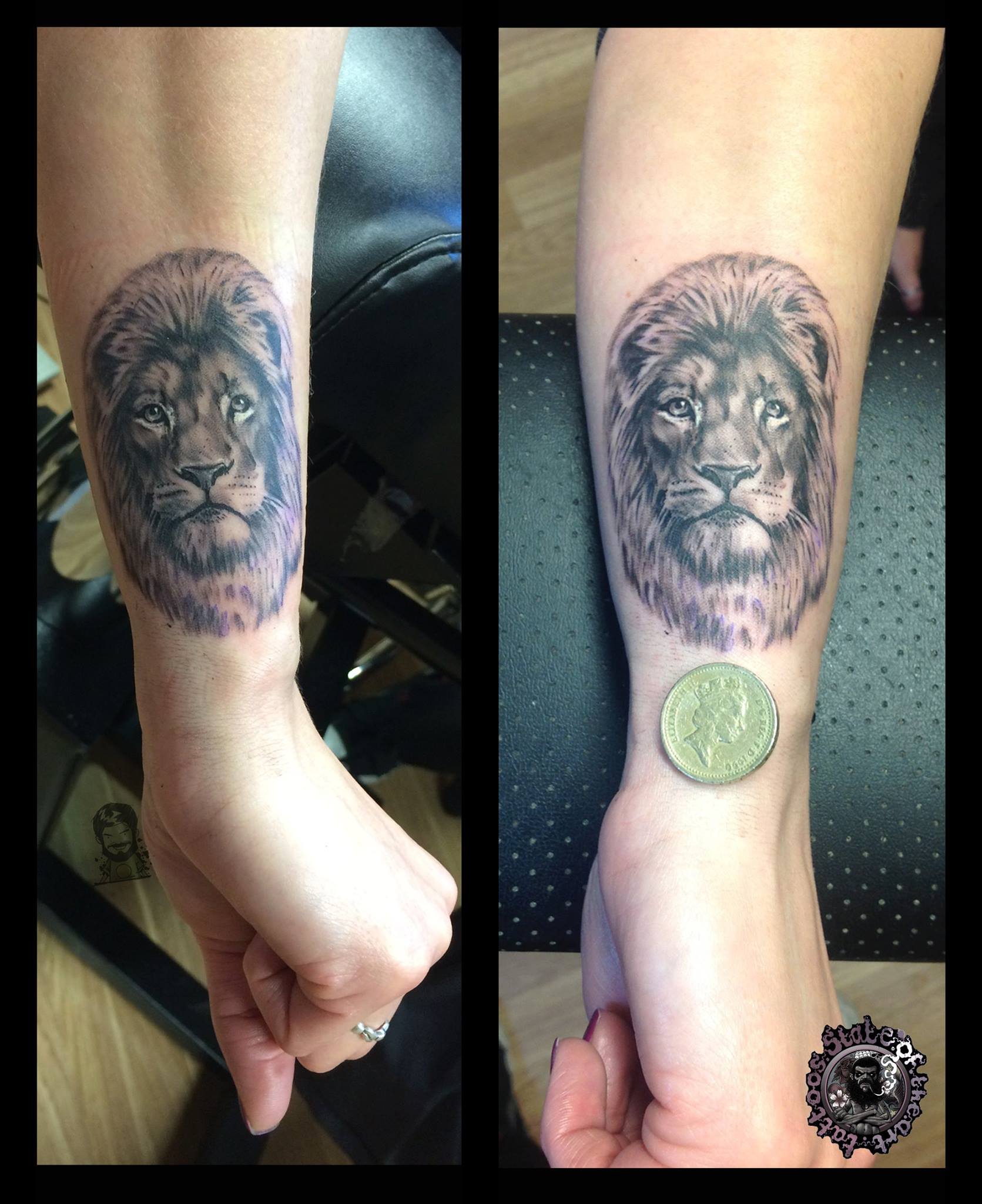 Small Lion