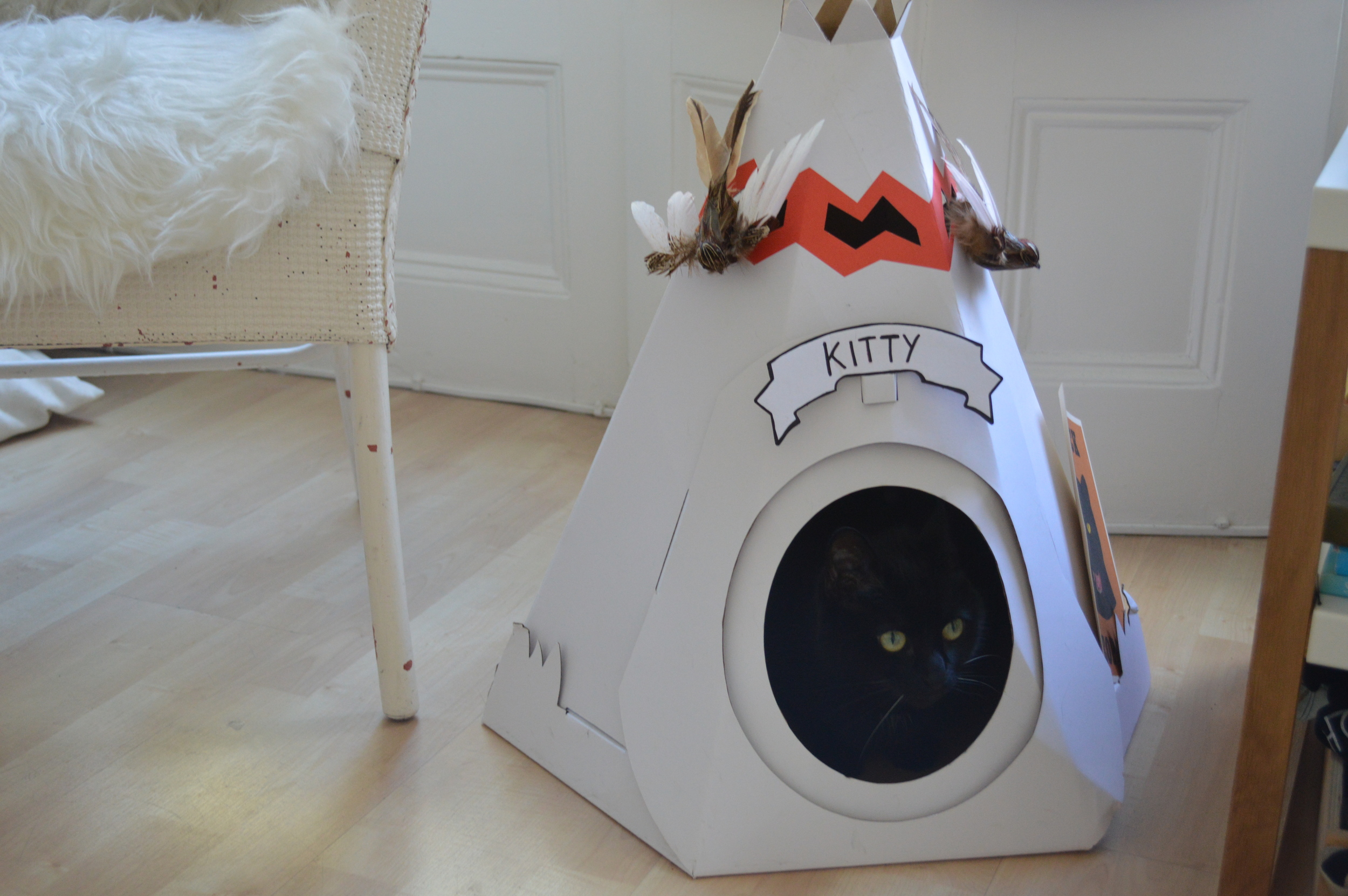 Kitty hiding in her teepee
