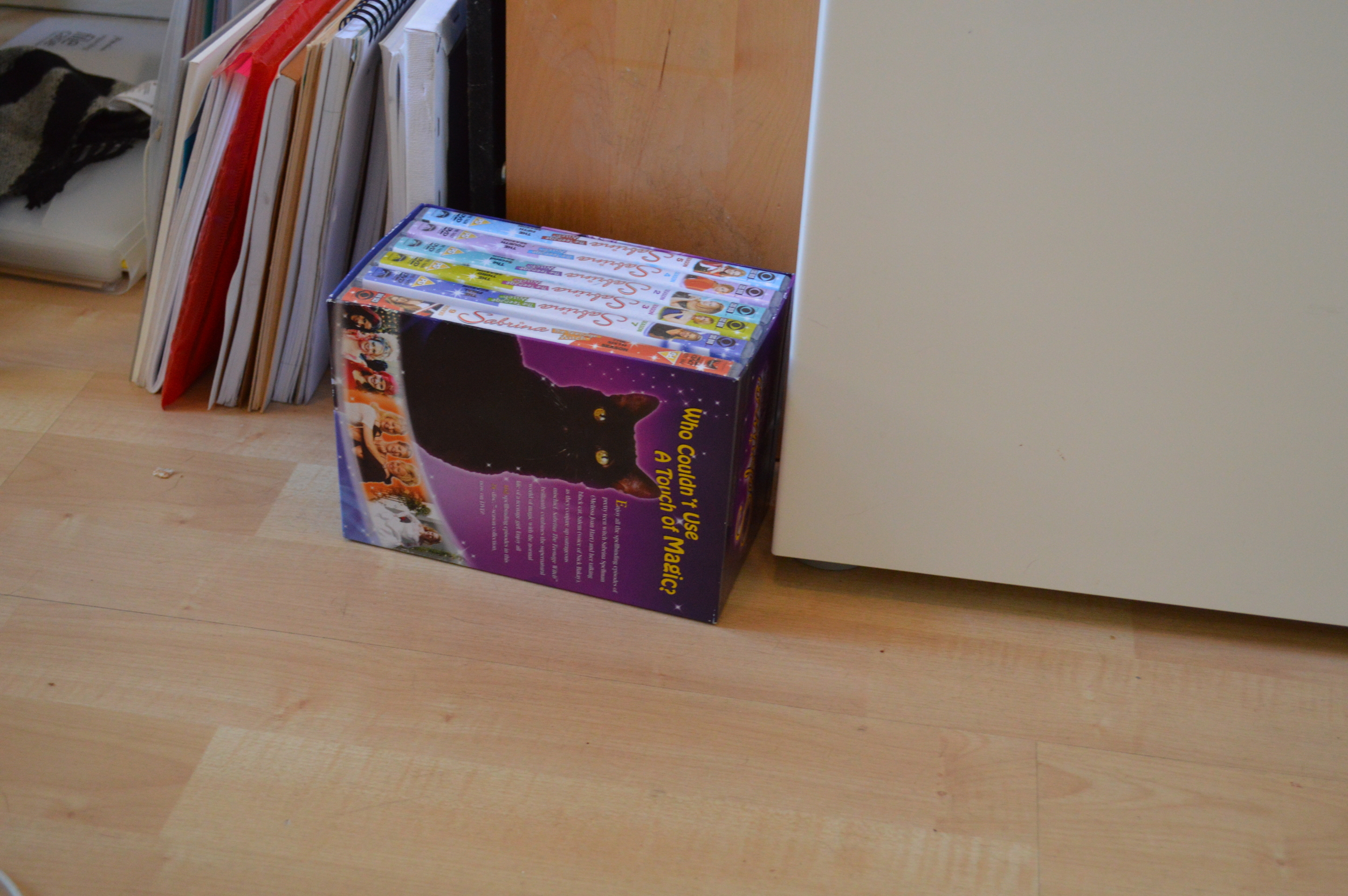 I spotted a Sabrina the Teenage Witch box set. Perhaps Kitty takes Halloween appearance tips from Salem