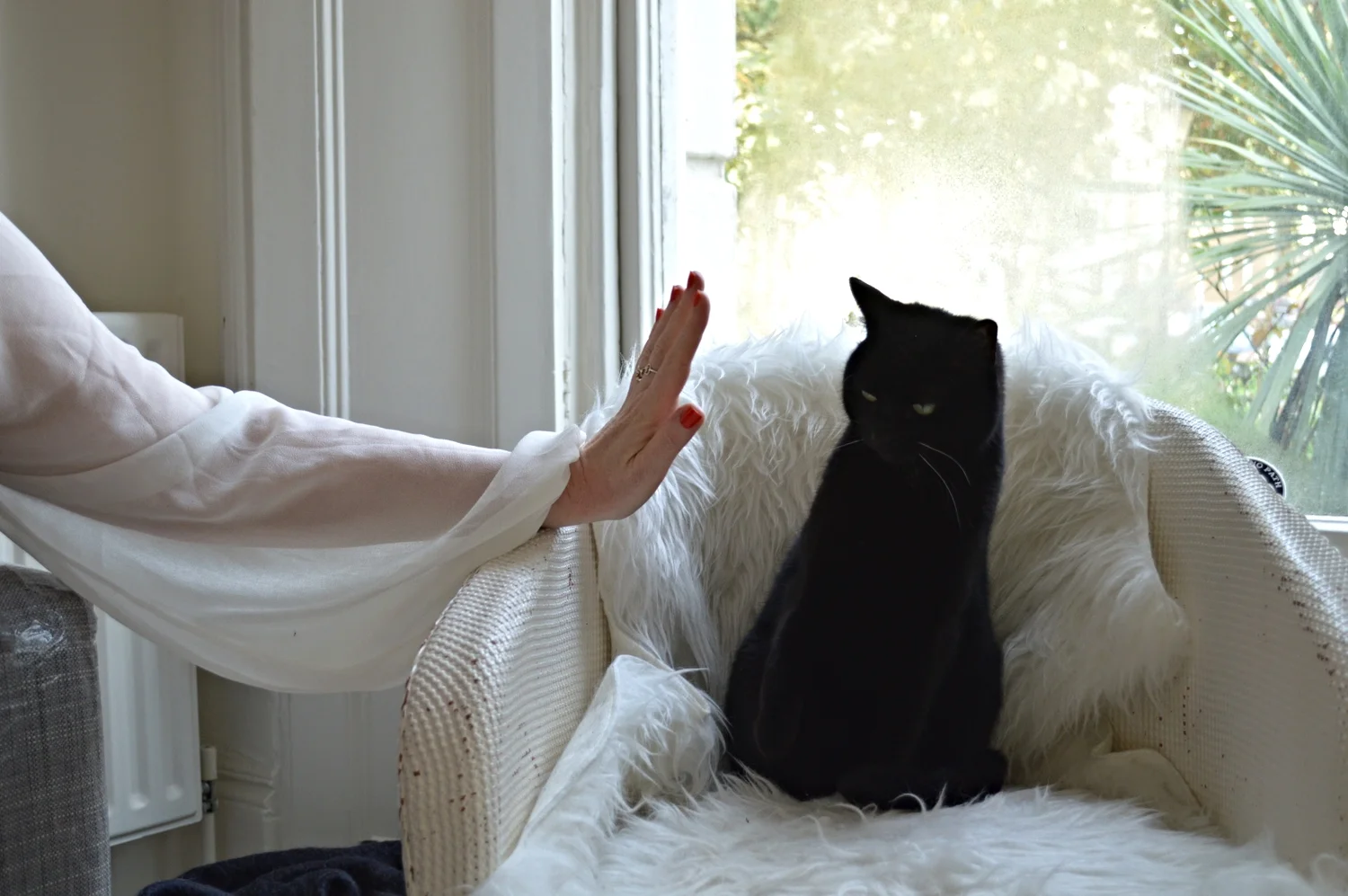 Grumblepuff backing away from a high 5 