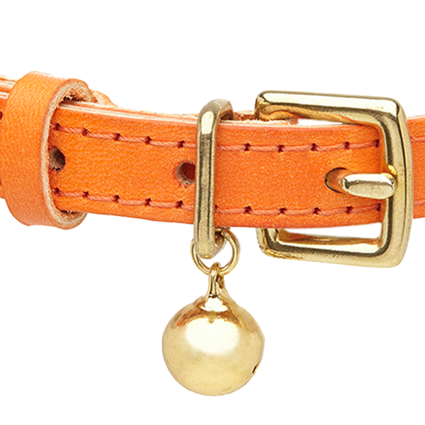 Orange Cat Collar