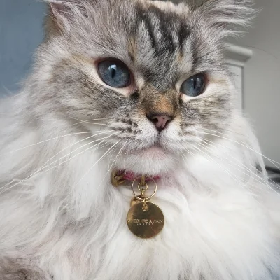 Minnie