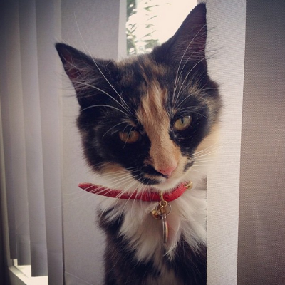 Little Miss Molly