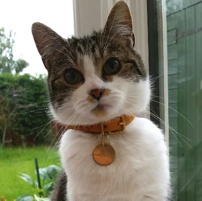 Lilly