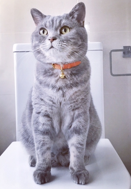 Cassius