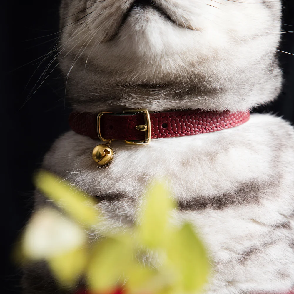 Tsar Collar Detail 01 Web.jpg