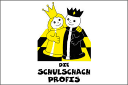 dssp_sponsor.png