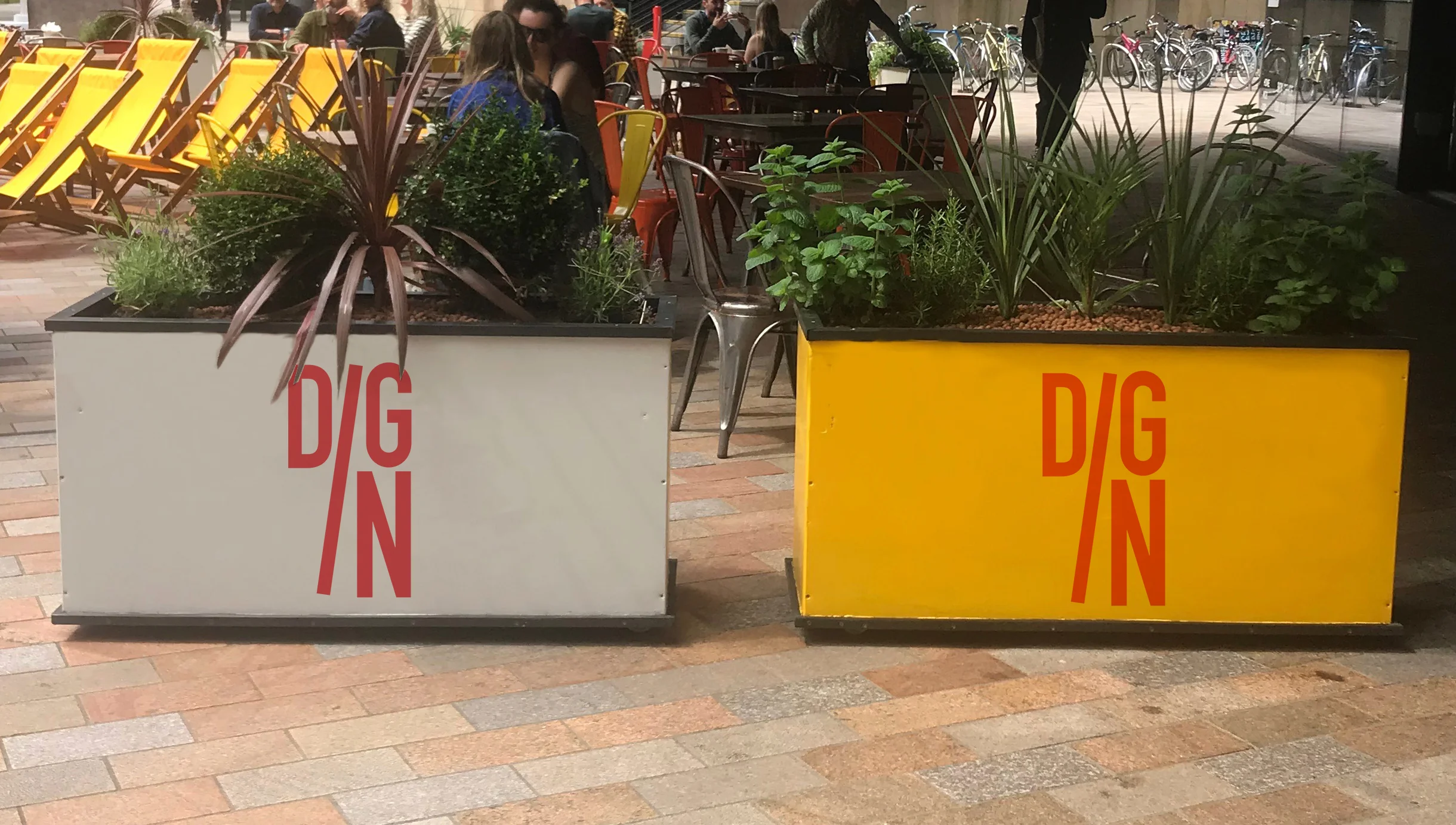 DigIn Flowerboxes.jpg