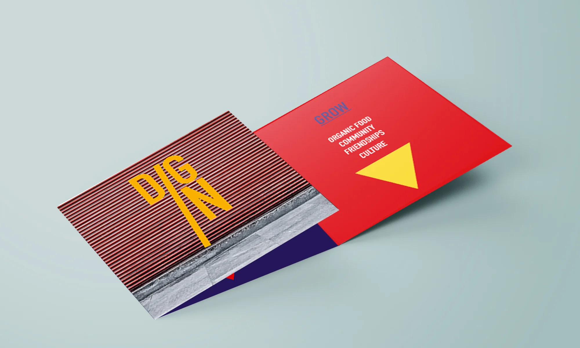 DigIn_fold out flyer.jpg