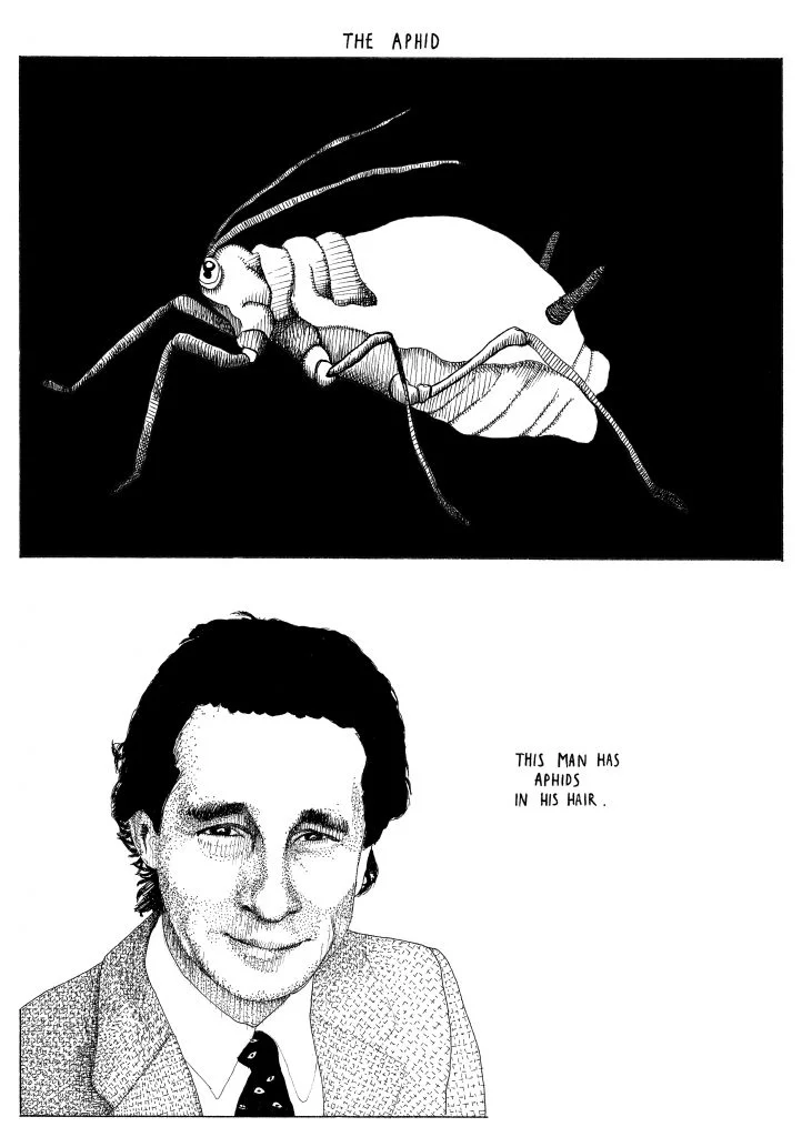 aphid3.jpeg