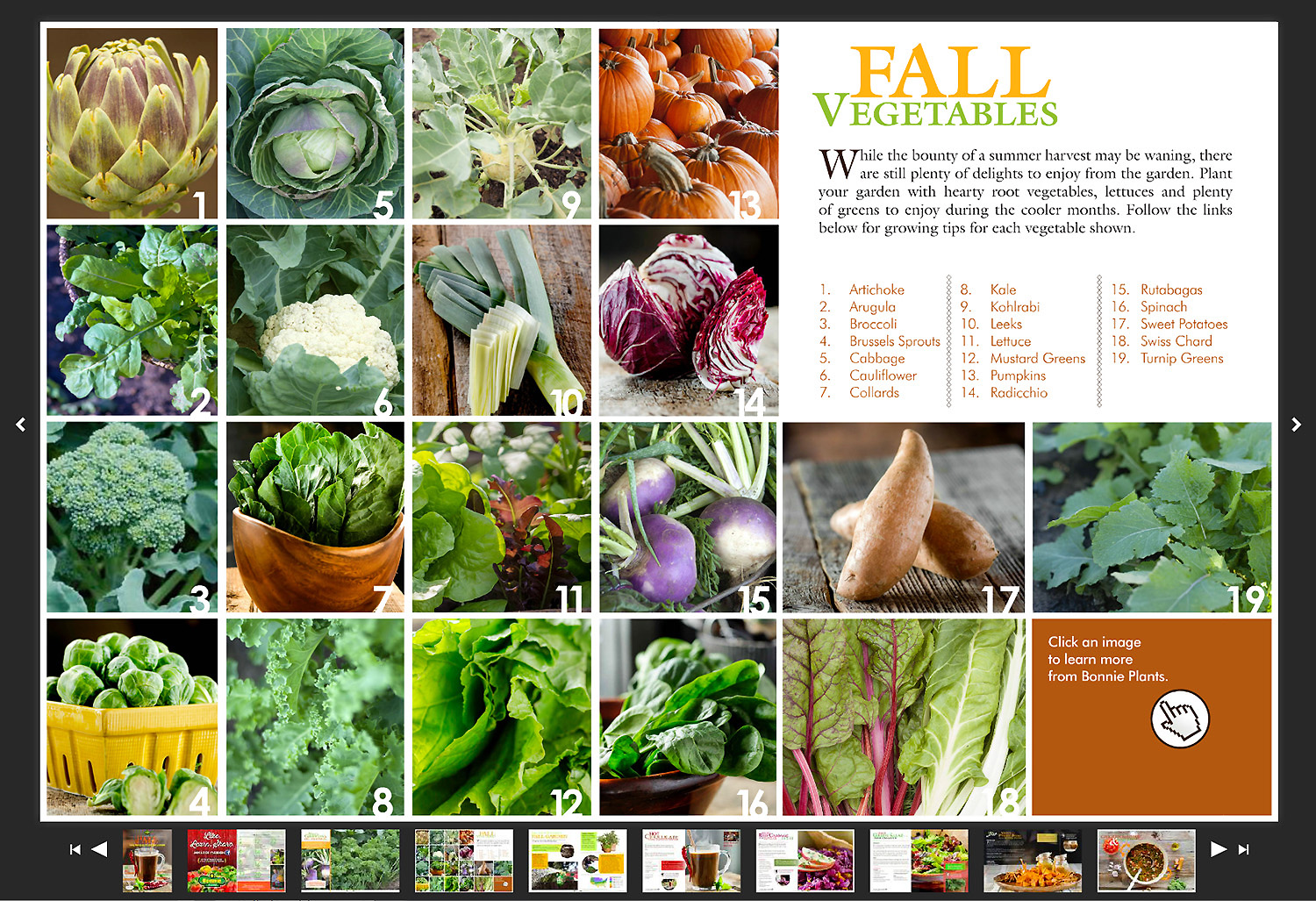  Karen E. Segrave | KES Photo

Bonnie Plants Taste of Fall 