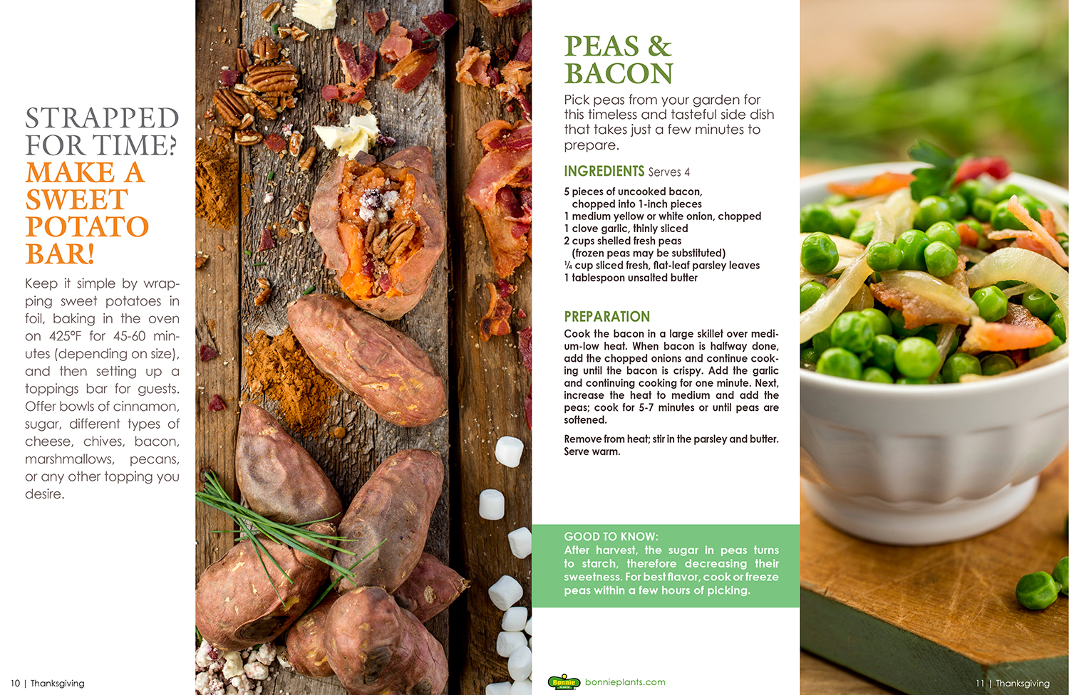 Food Photography