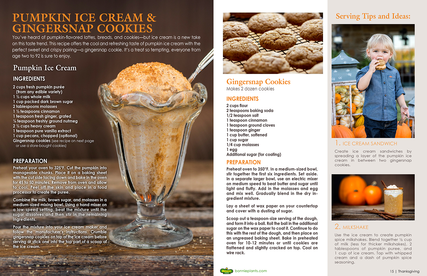 Food Photography