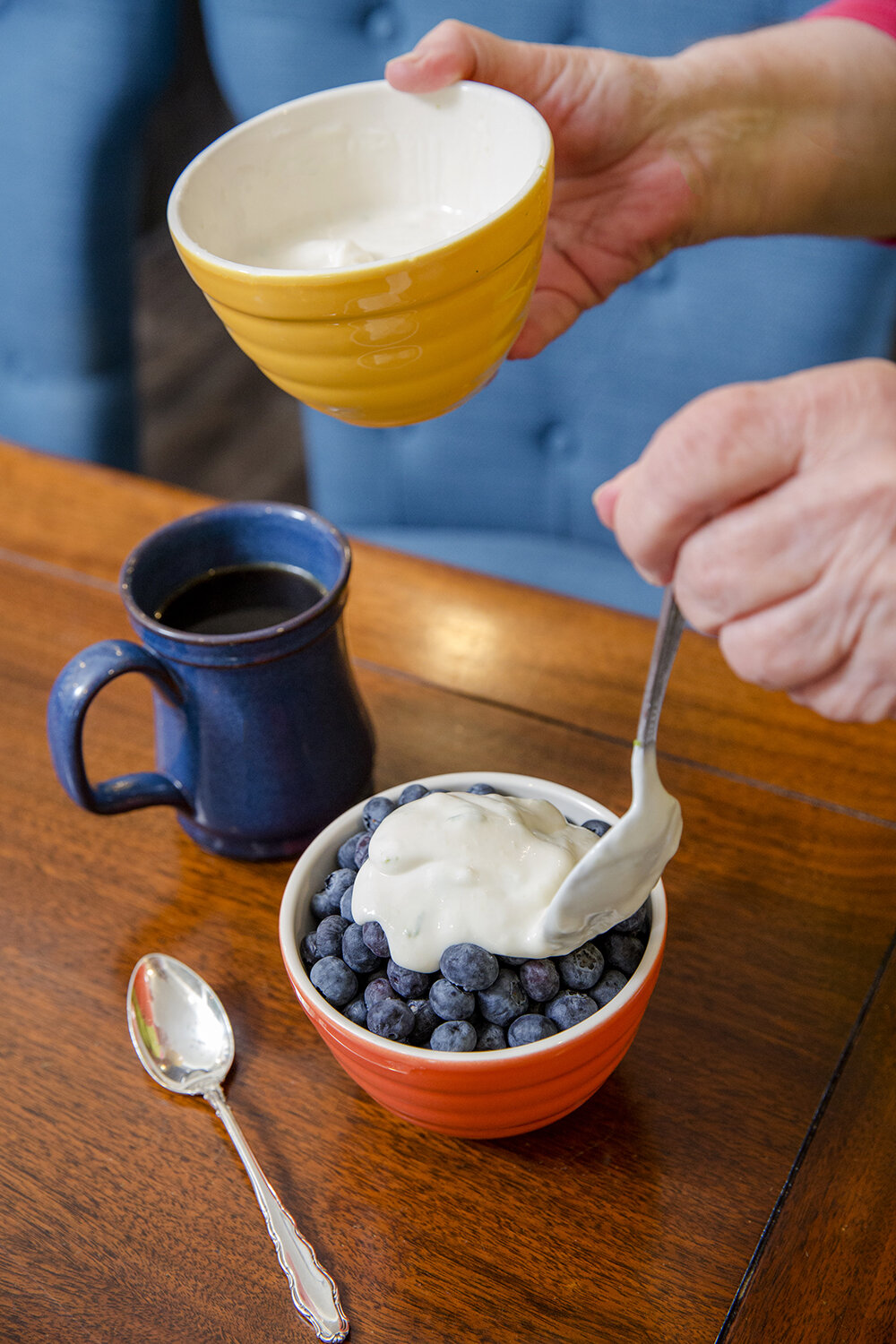 blueberries and yogurt Arkansas Food Photographer.JPG