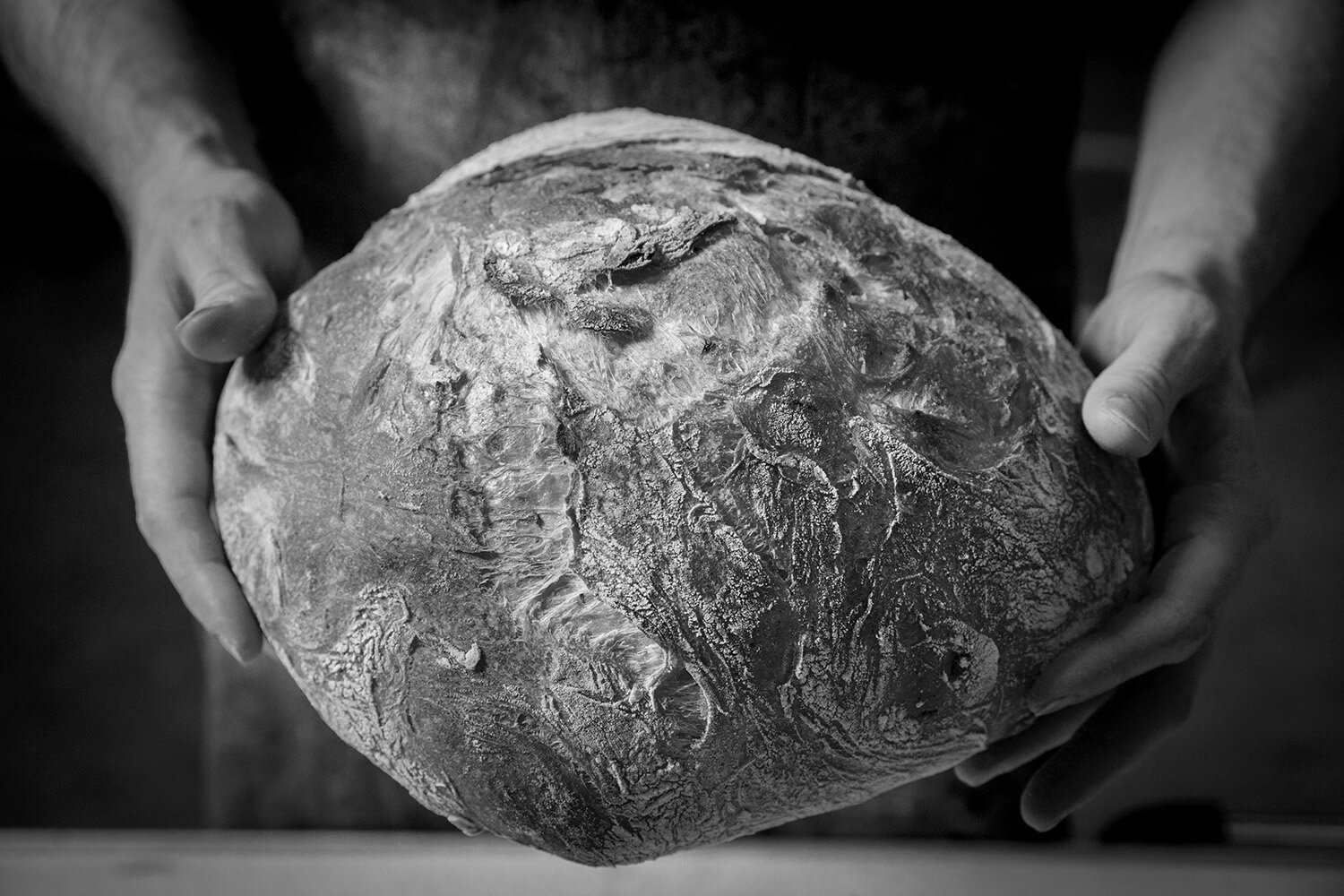 Food-Baking-Bread-Dough-3.JPG