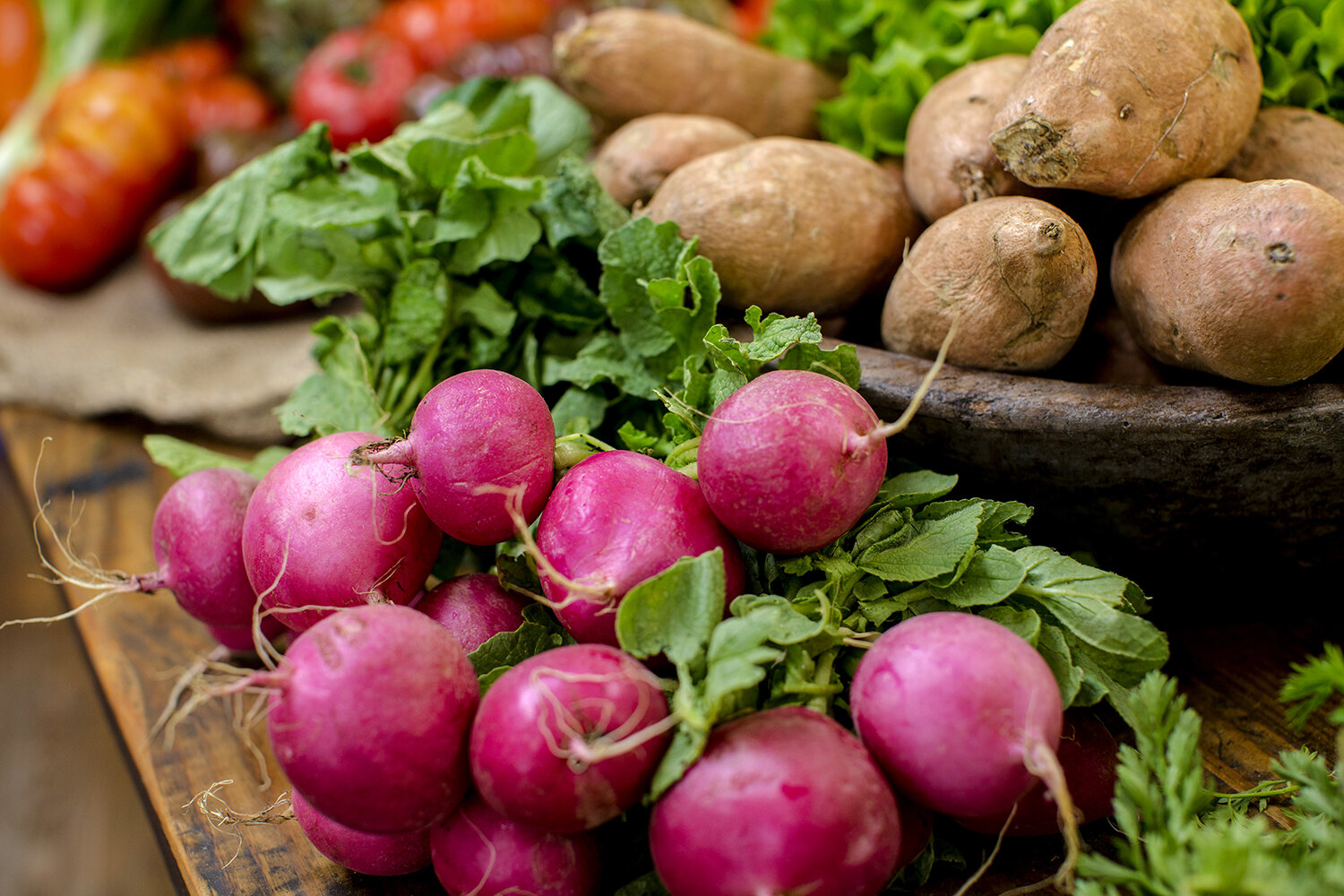 Food-farm-fresh-vegetables-radishes.JPG