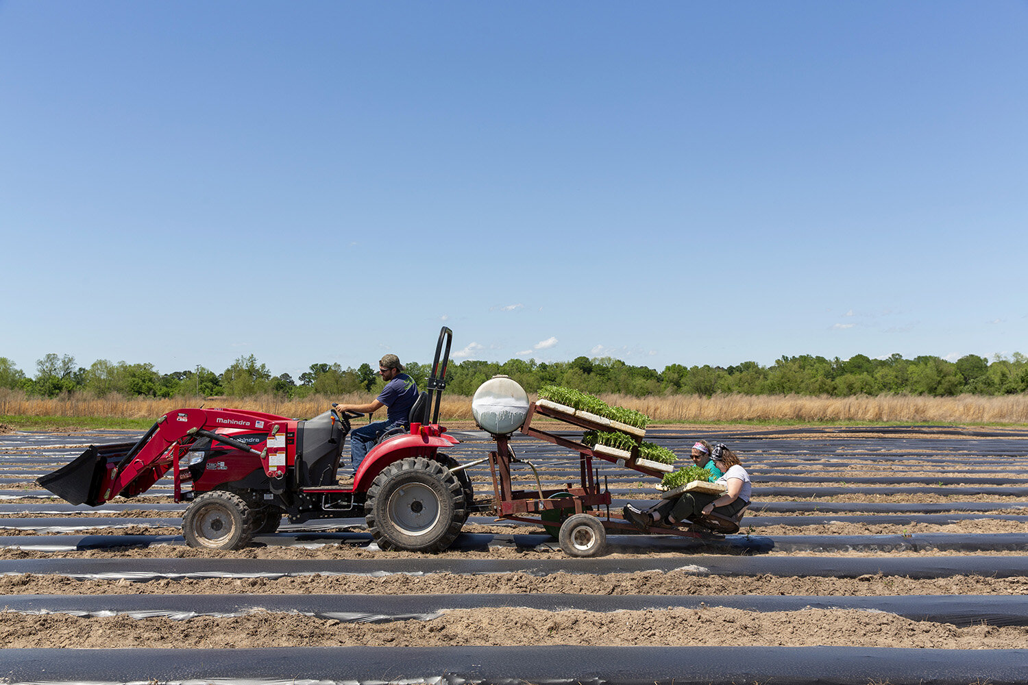 agriculture farming arkansas planting-6.JPG