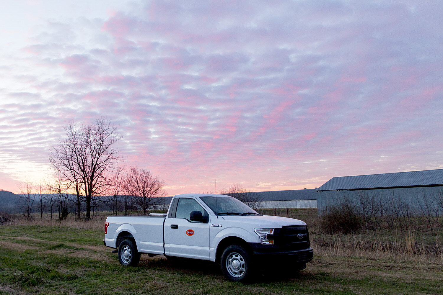 agriculture farming arkansas tyson foods poultry-20.JPG