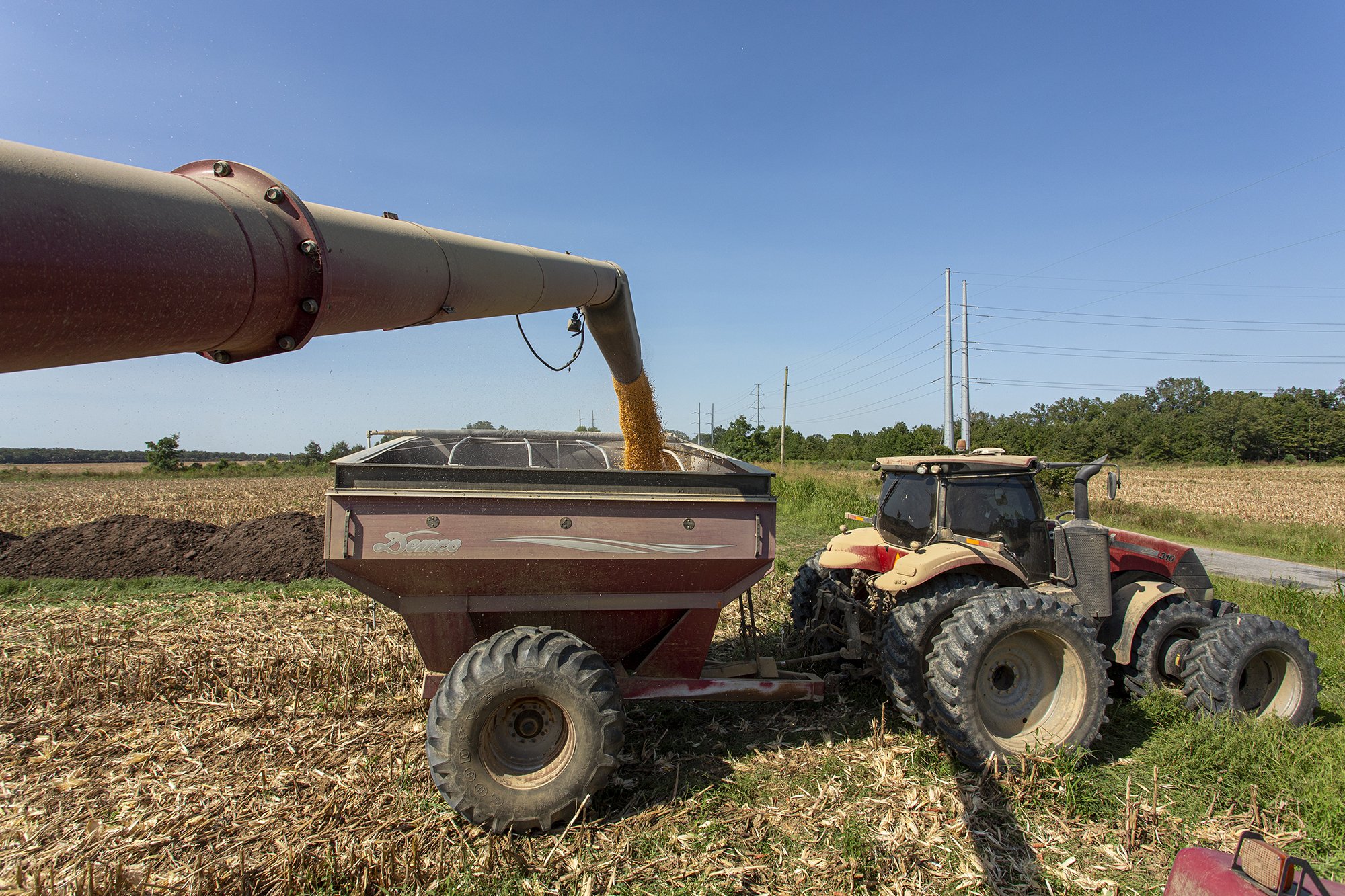 Agriculture Rural Farm Syngenta AgriEdge-4.JPG