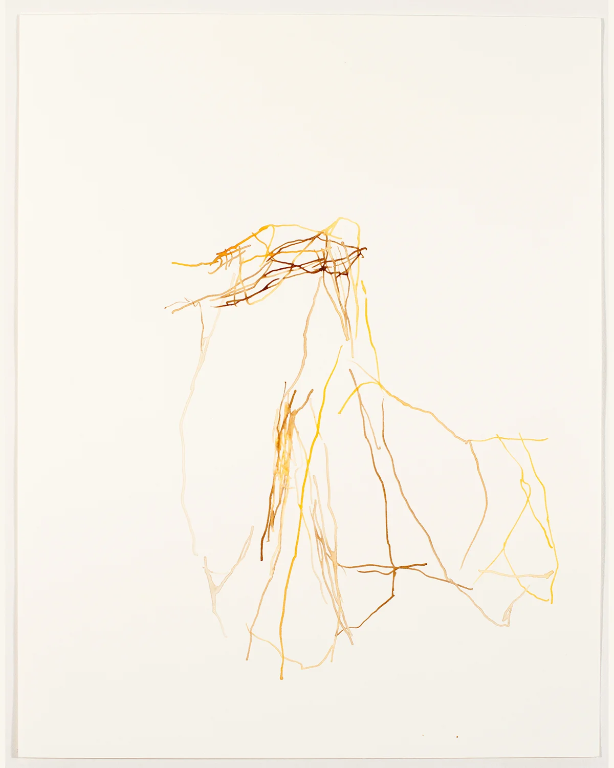 Lacawac #57, 2018, ink on paper, 14 x 11 in.
