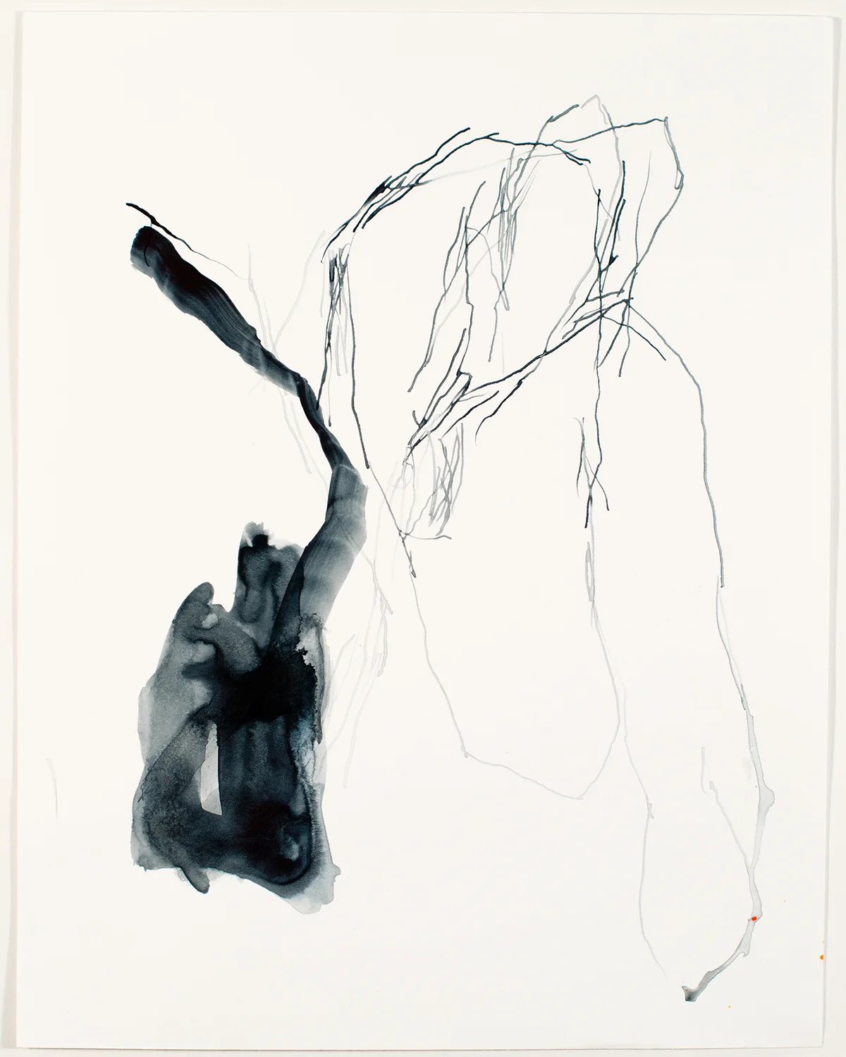 Lacawac #67, 2018 ink on paper, 14 x 11 in.
