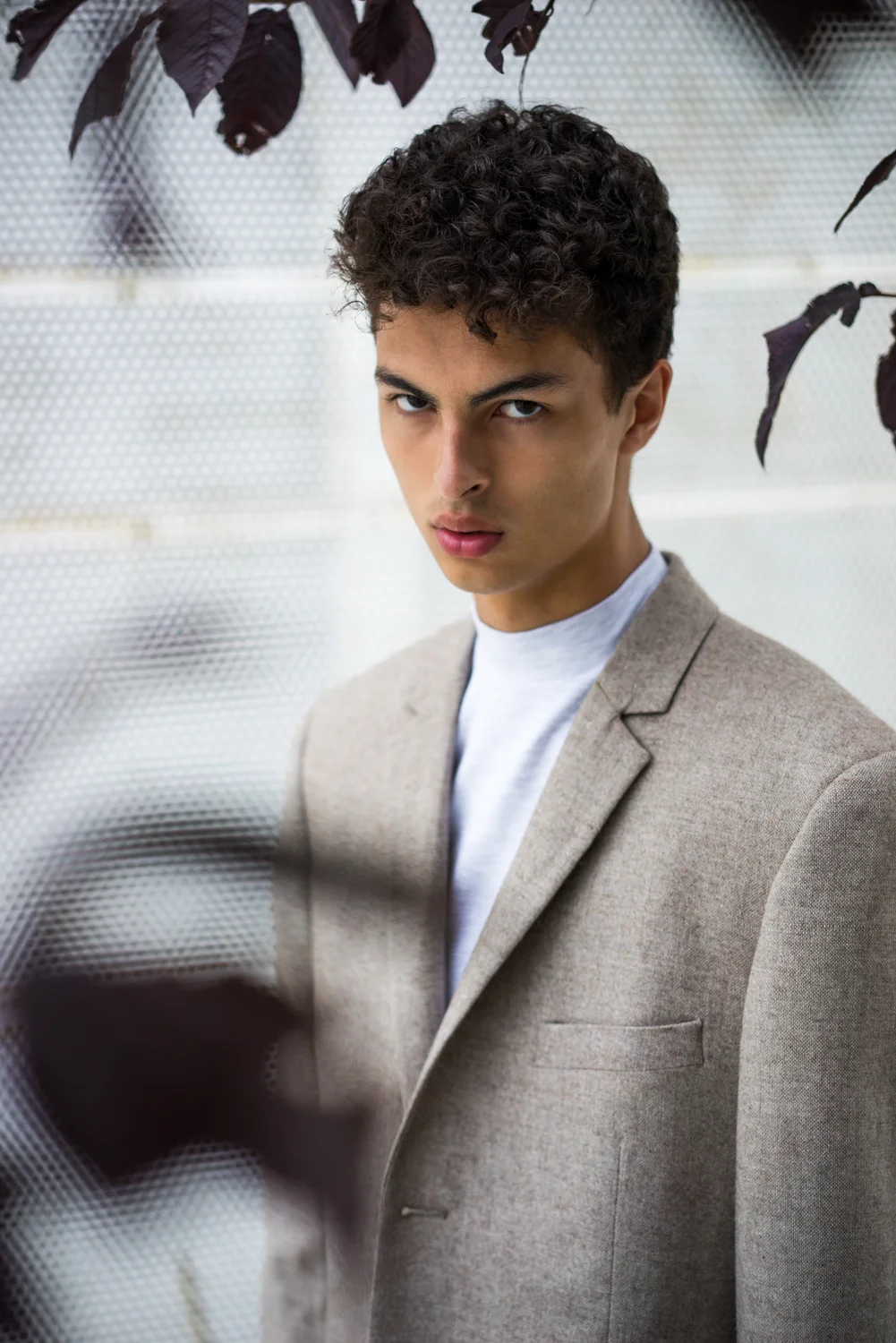 WILHELMINA NYC