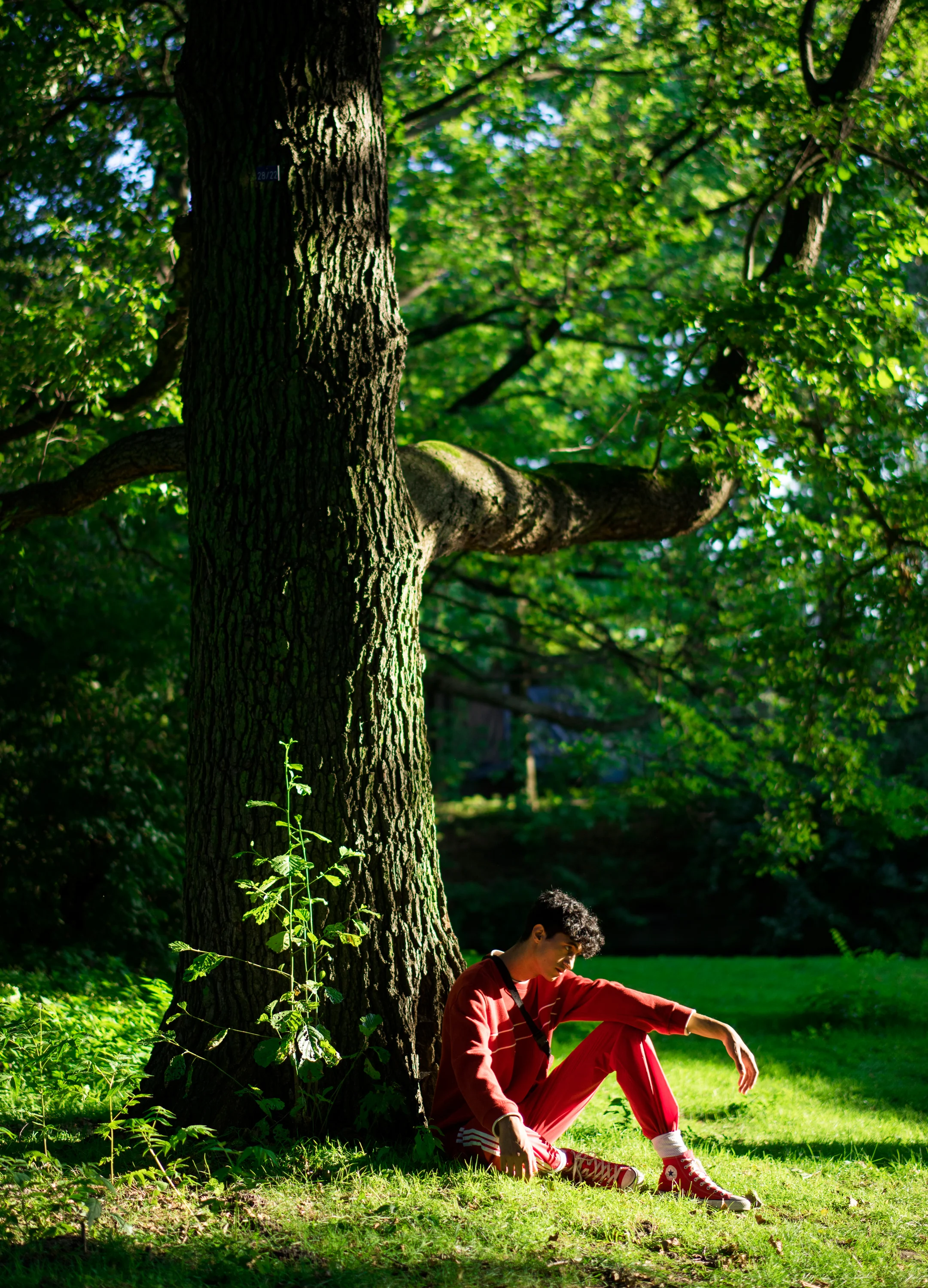 _DSC6915.jpg