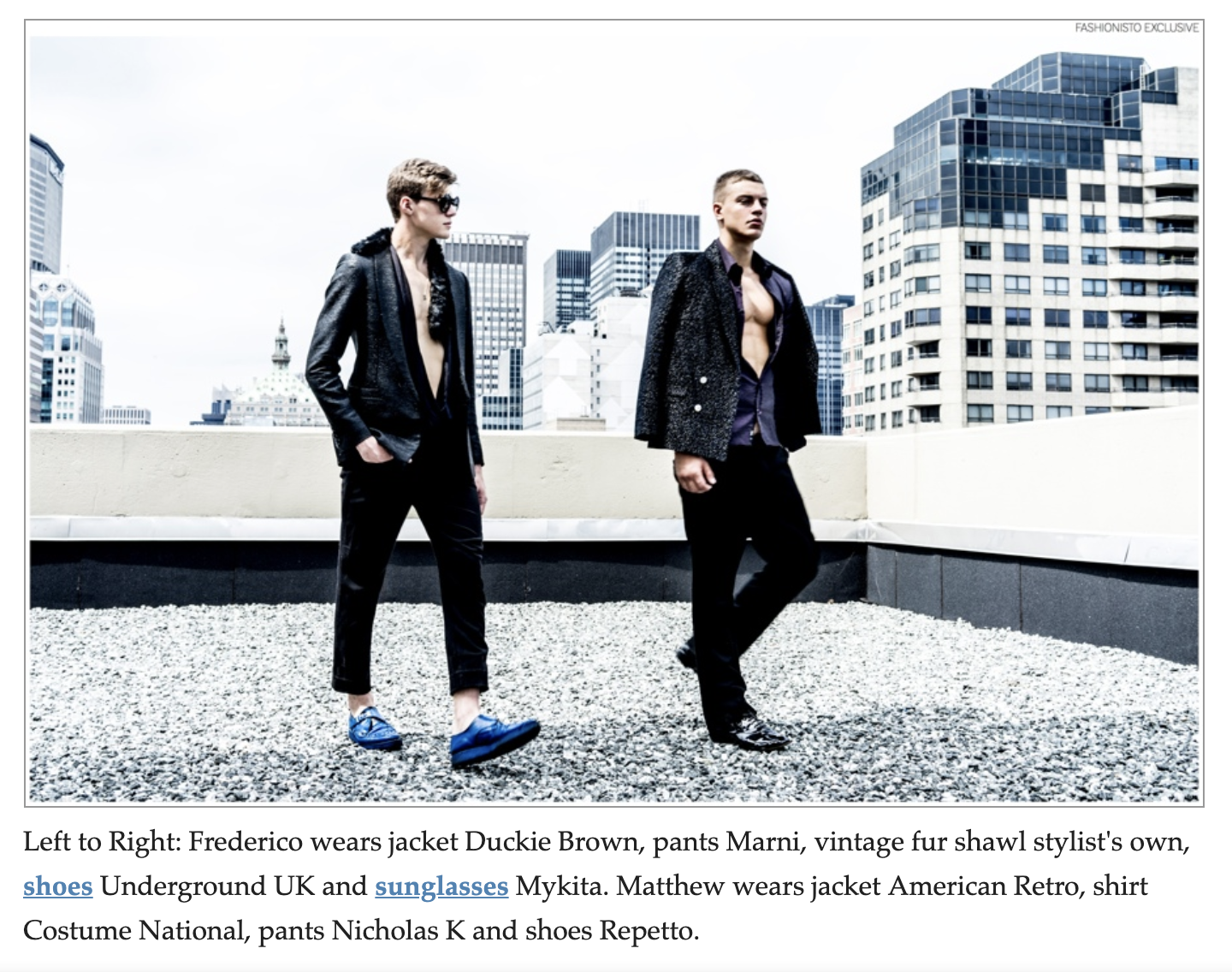 THE FASHIONISTO