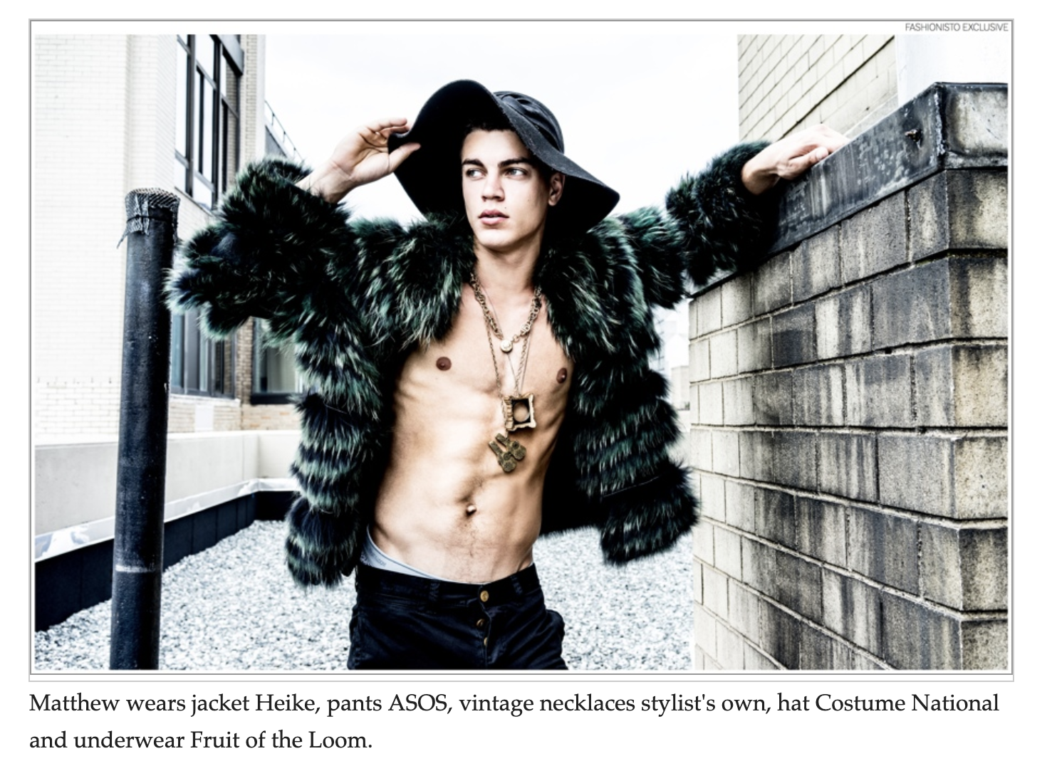 THE FASHIONISTO