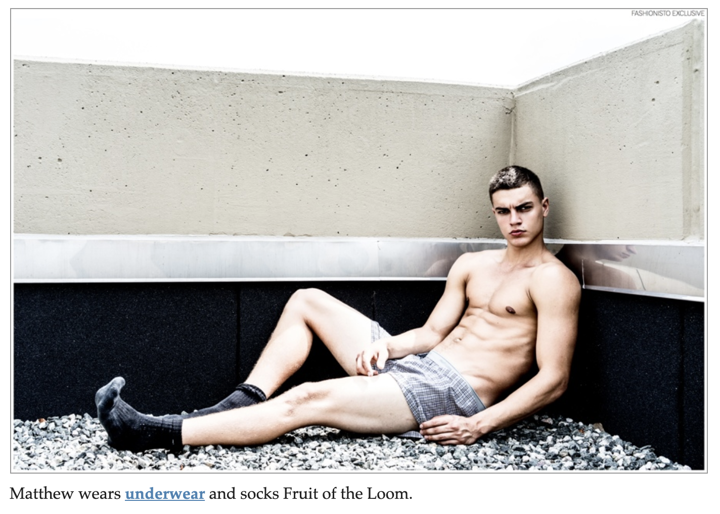 THE FASHIONISTO