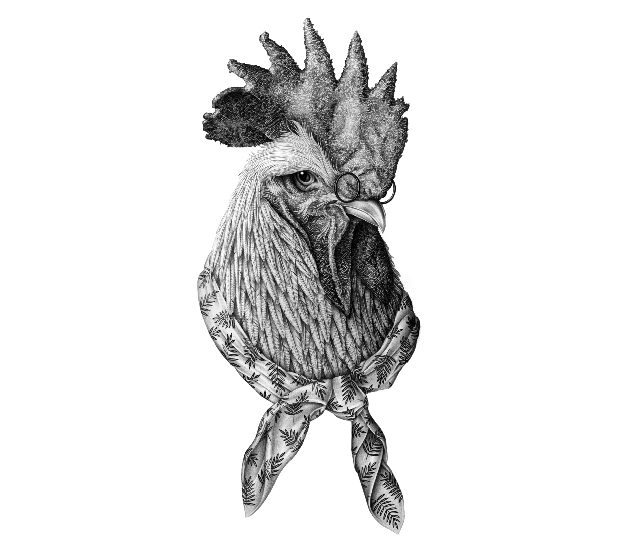 coq1.png