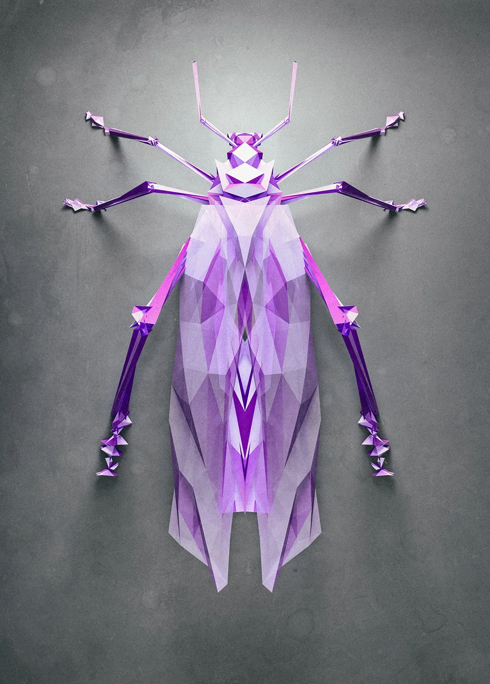 insect-2.jpg