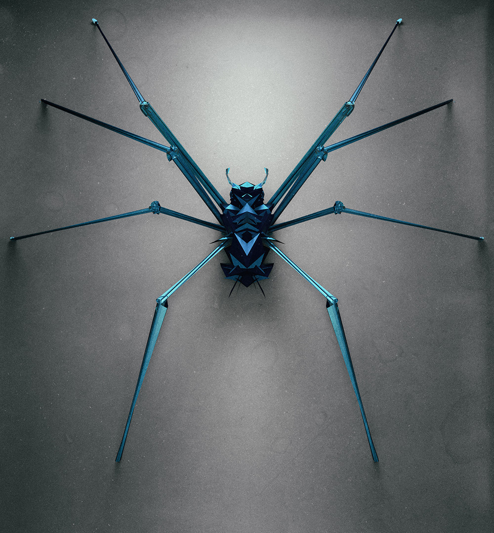 insect-3.jpg