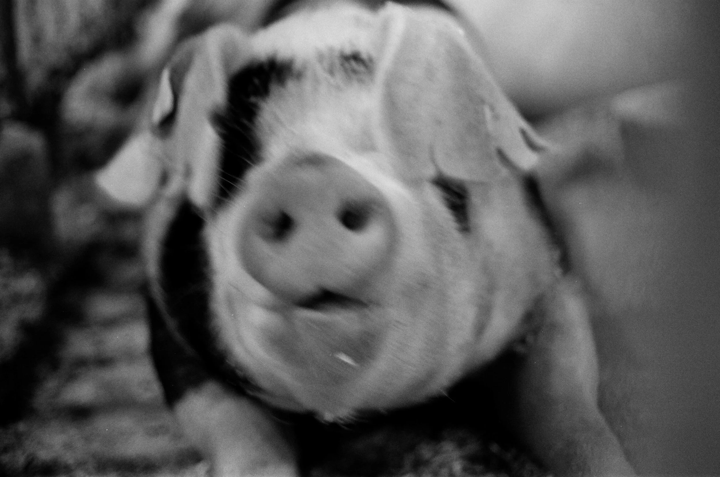 35mm film.