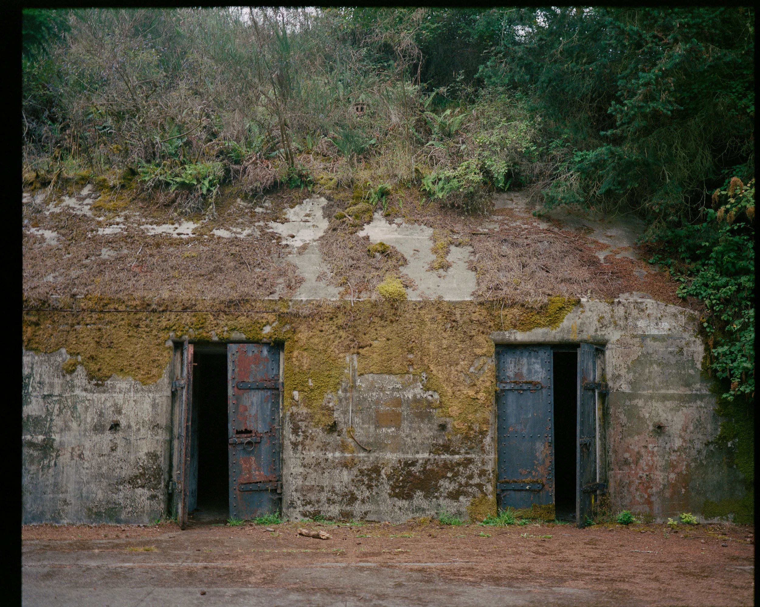 120mm film