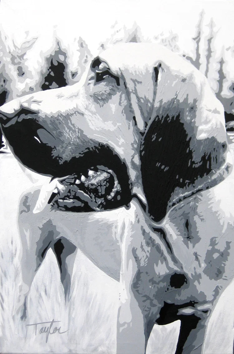 dog.jpg