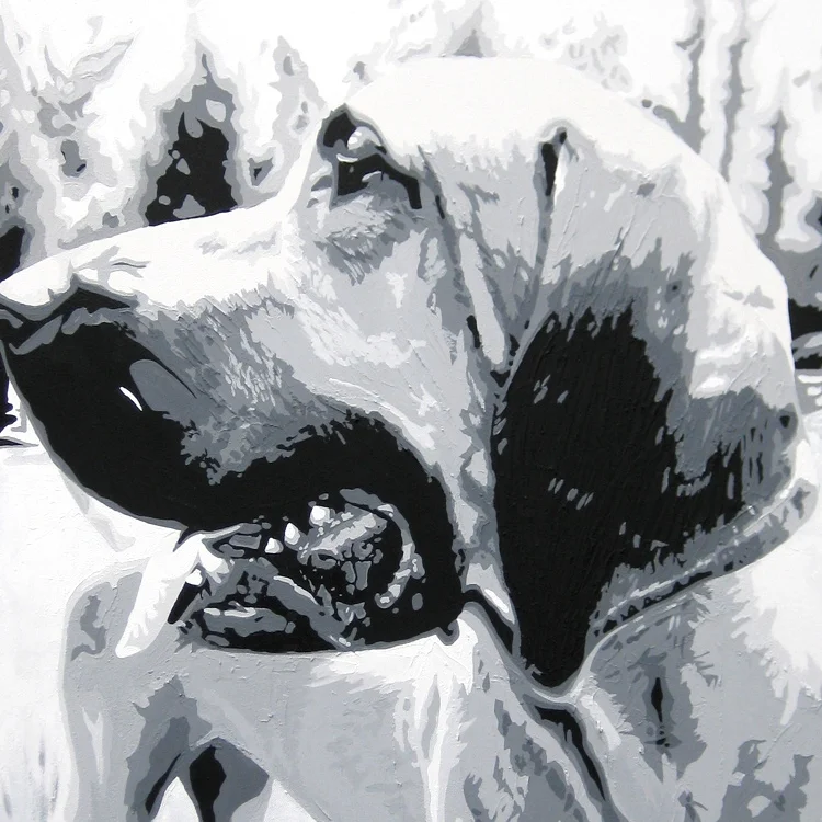 dog.jpg