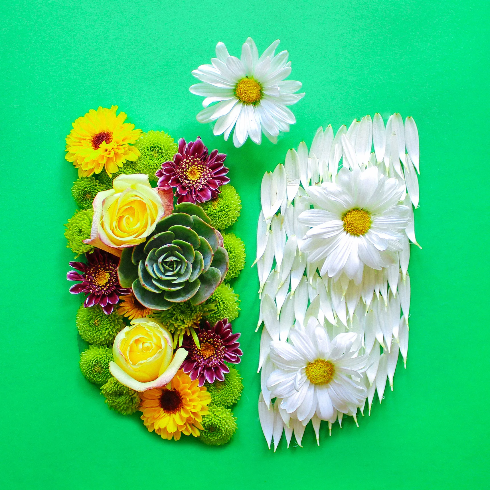 Photography - UrbanStems