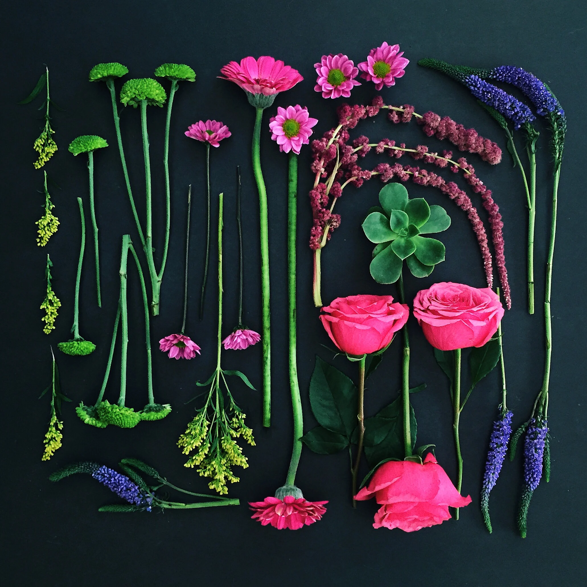 UrbanStems.JPG