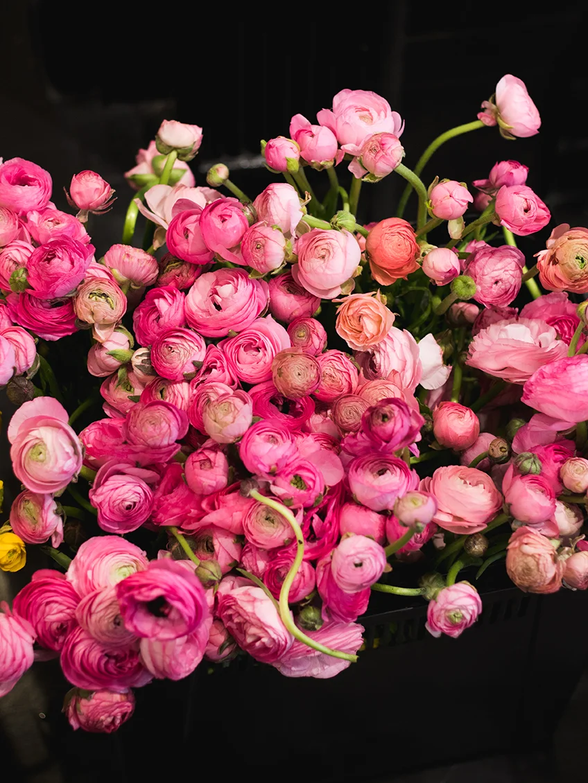 UrbanStems + Kate Spade