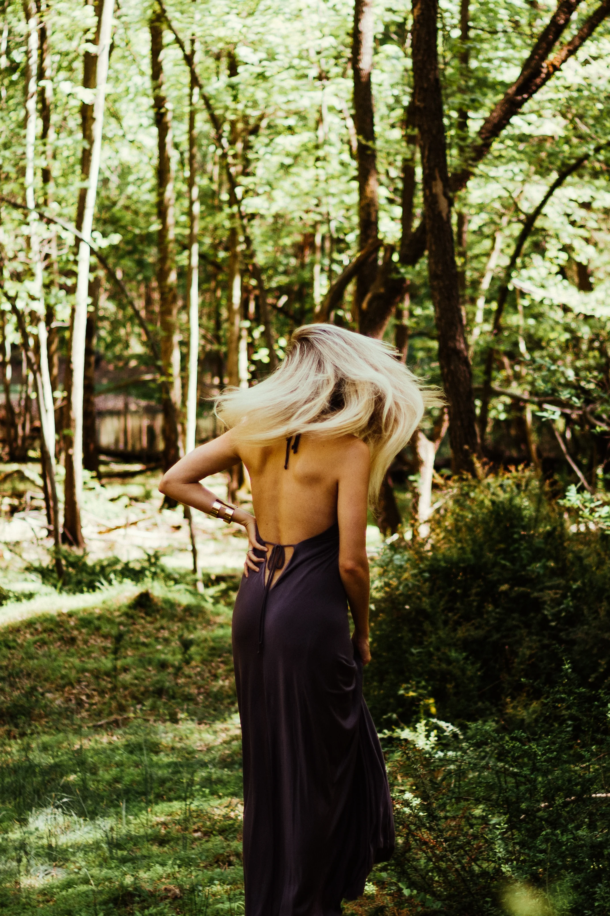 Woods-New3.jpg