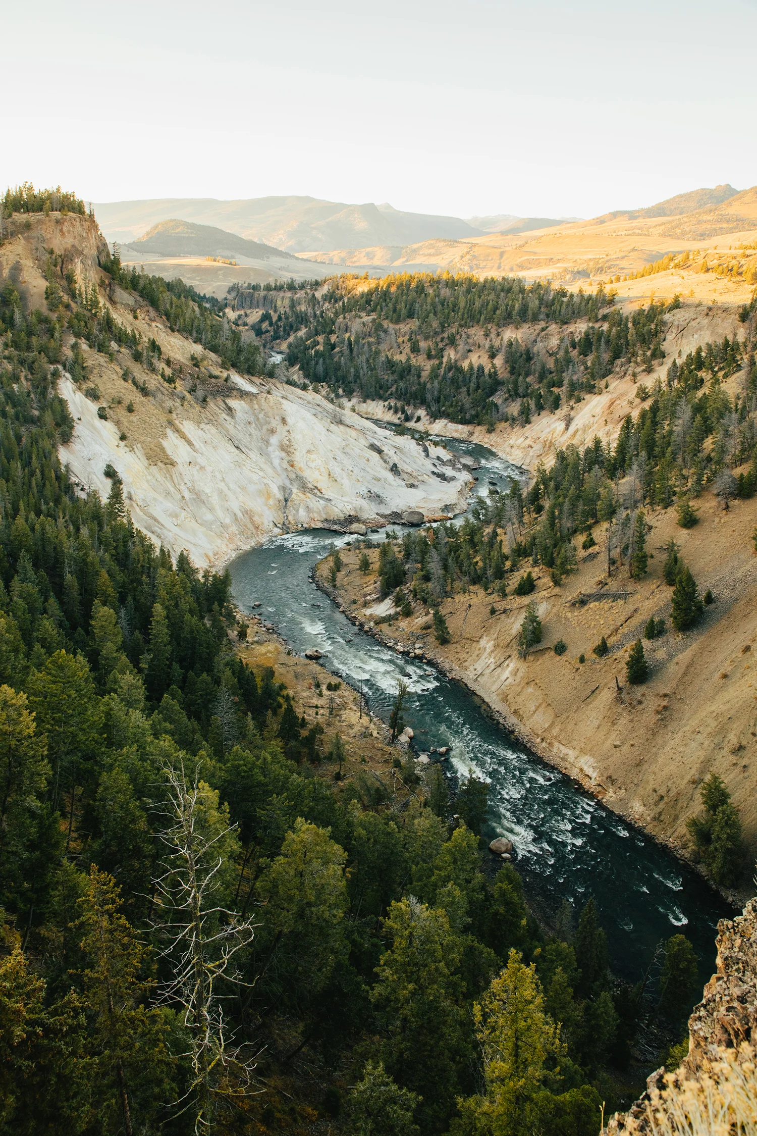 Canyon.jpg
