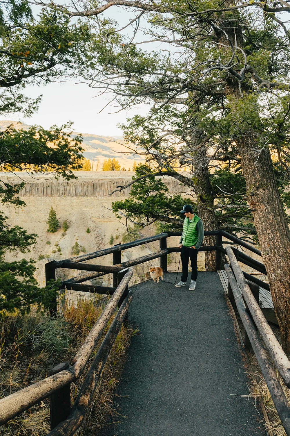 Canyon 2.jpg