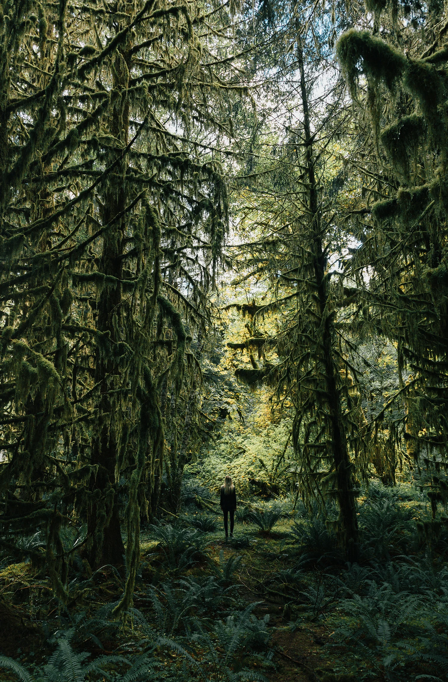 Hike 7.jpg