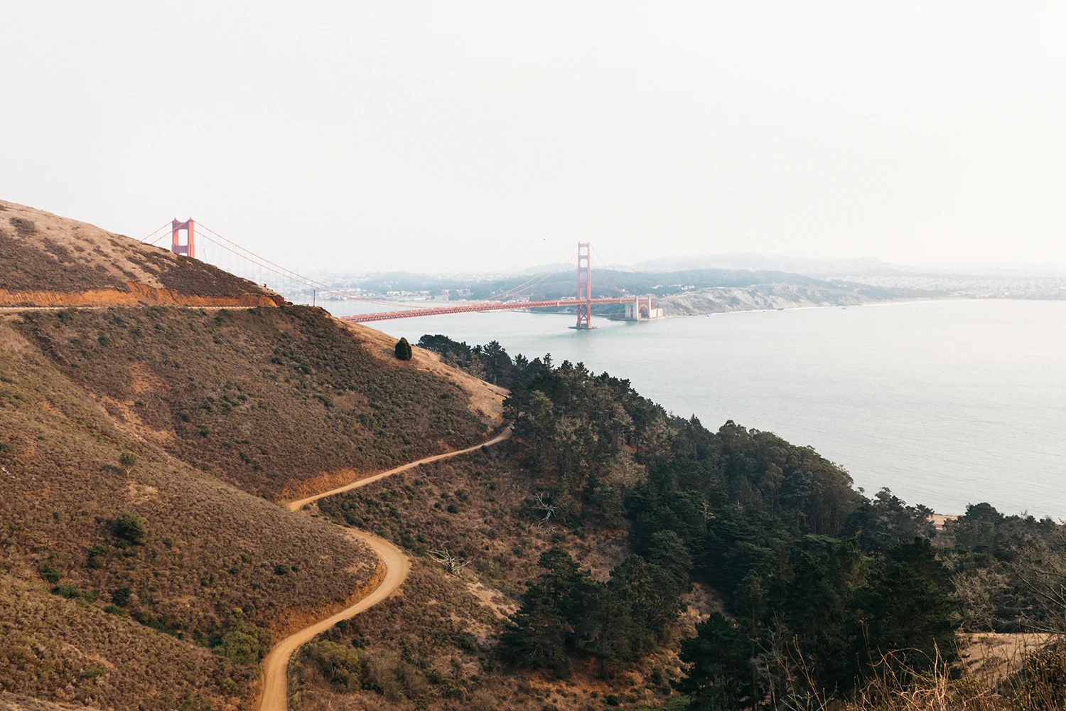 San Fran 1.jpg