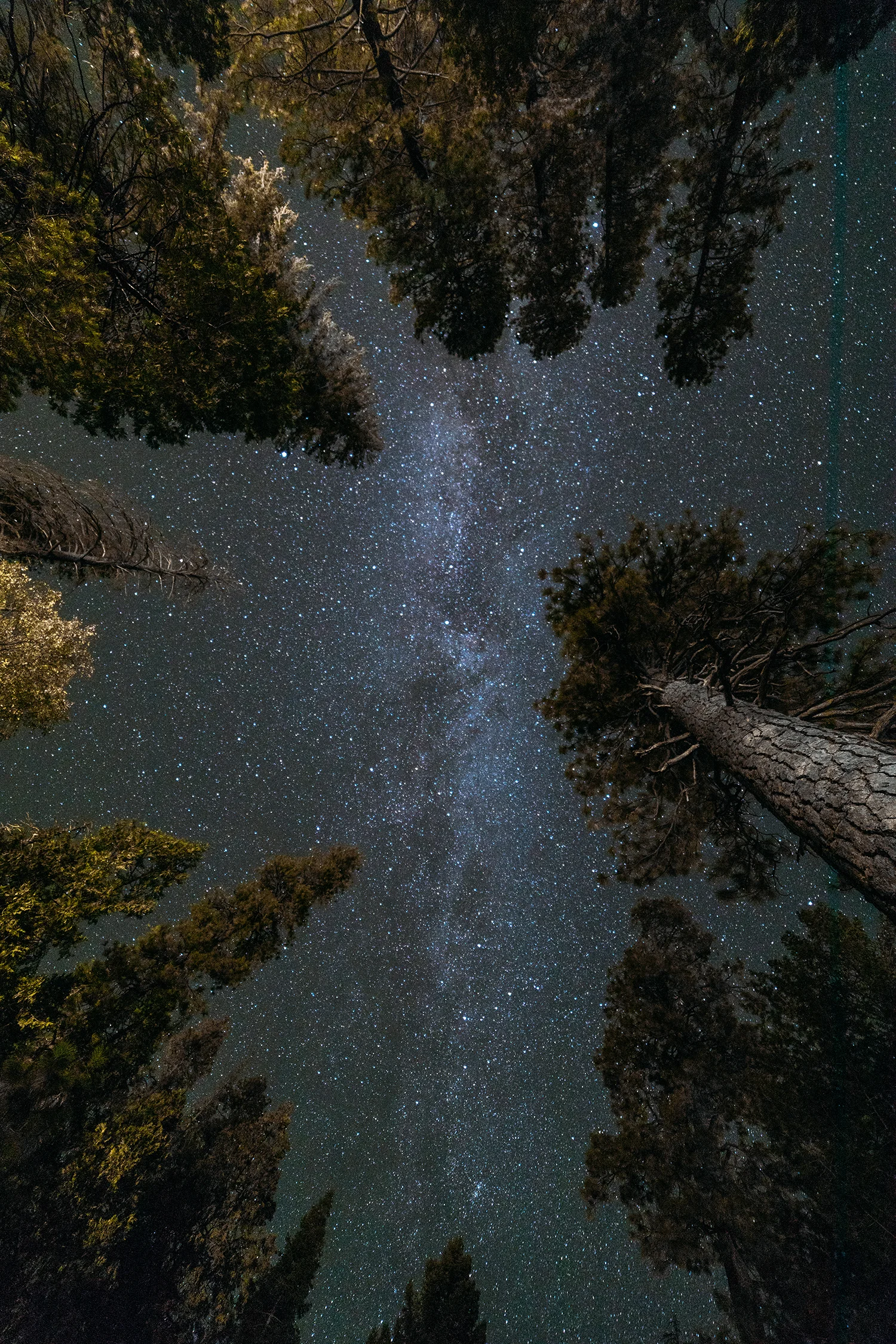 Camp Astro photography 1.jpg